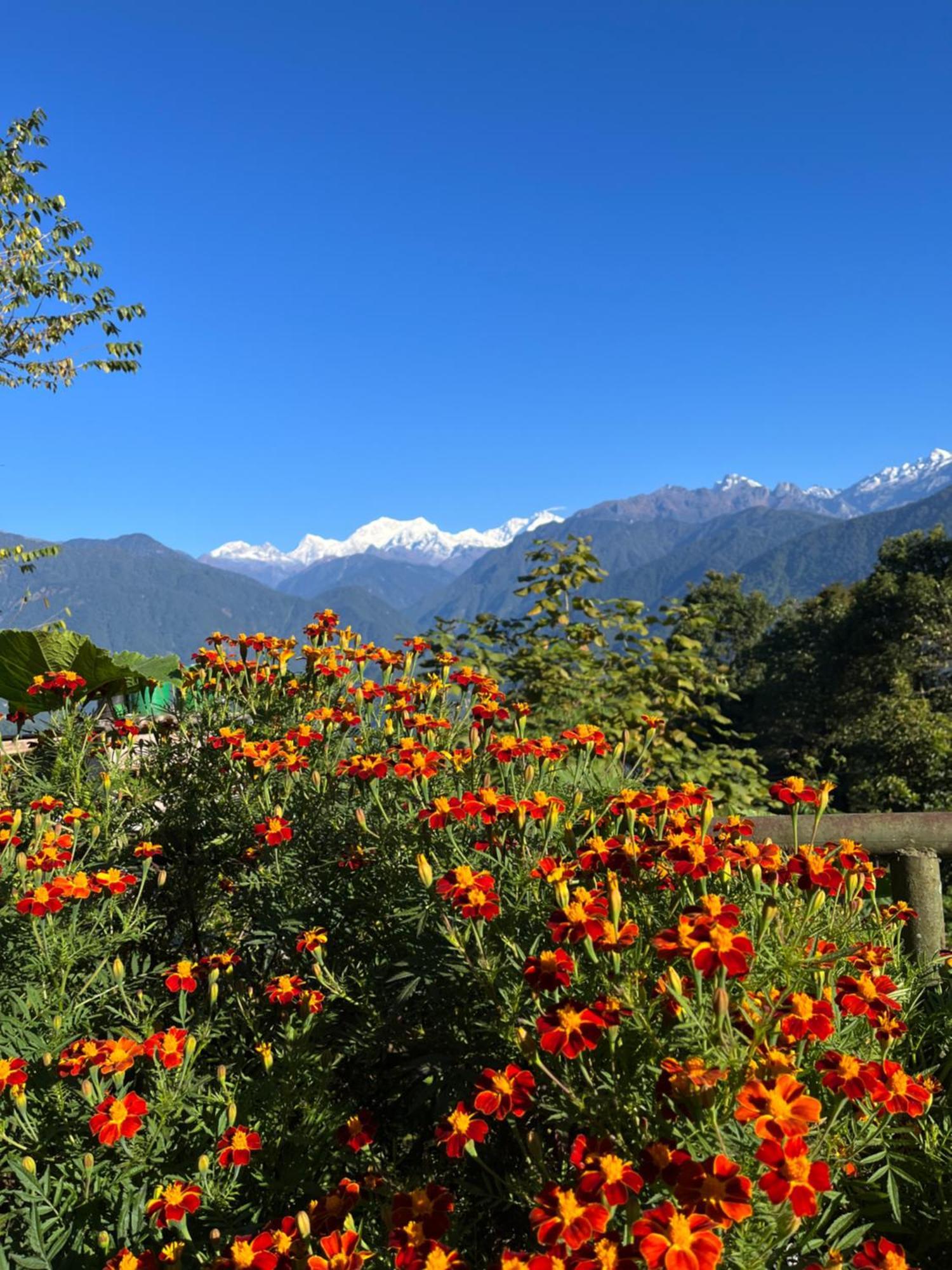 Ifseen Villa Pelling Extérieur photo